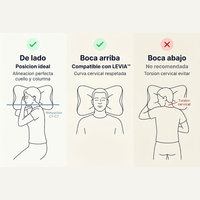 LEVIA Align — Posiciones para Dormir